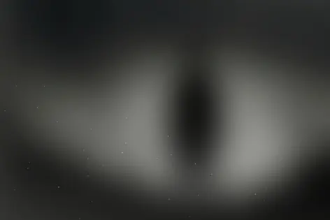 Квест-Перформанс «Психо» от DEIMOS